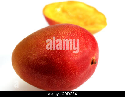 Mango, mangifera indica, Fruits against White Background Stock Photo