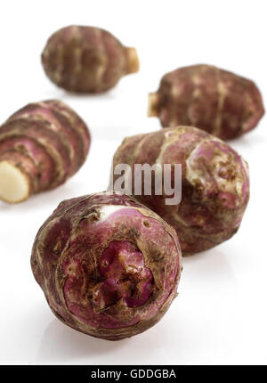 JERUSALEM ARTICHOKE helianthus tuberosus AGAINST WHITE BACKGROUND Stock Photo