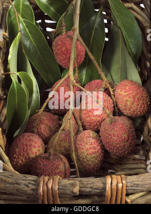 Litchi or Litchee, litchi sinensis, Exotic Fruits in basket Stock Photo