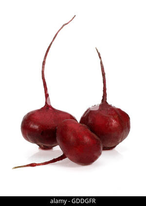 Beetroot, beta vulgaris rubra against White Background Stock Photo