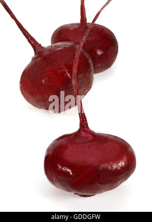 Beetroot, beta vulgaris rubra against White Background Stock Photo
