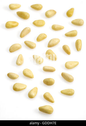 Pine Kernel or Pine Nut, pinus sp, Nuts against White Background Stock Photo