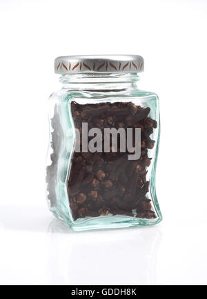 Cloves, eugenia caryophyllata against White Background Stock Photo