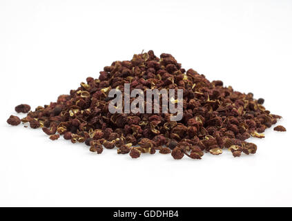 Czechuan or Sichuan Pepper, zanthoxylum simulans against White Background Stock Photo