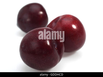 Red Plums against White Background Stock Photo