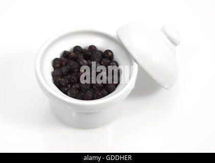 JUNIPER BERRIES AGAINST WHITE BACKGROUND Stock Photo