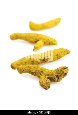TURMERIC ROOT, AN INDIAN SPICE Stock Photo