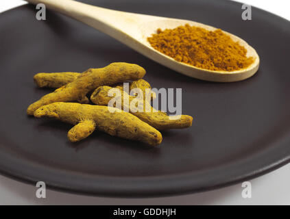 ROOT AND POWDER OF TURMERIC, AN INDIAN SPICE Stock Photo