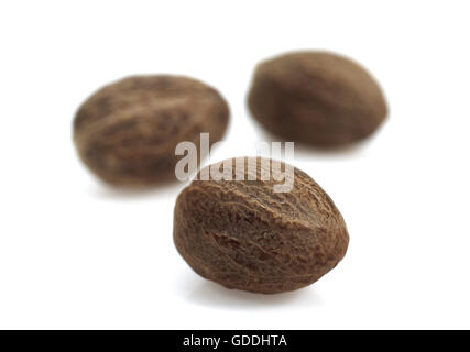 Nutmegs, myristica fragrans, Fruits against White Background Stock Photo