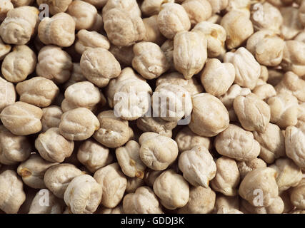 Dry Chickpeas, cicer arietinum Stock Photo