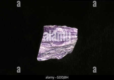 Charoite Stone against Black Background Stock Photo