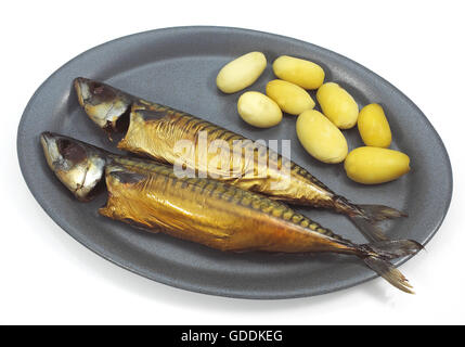SMOKED MACKERL scomber scombrus WITH POTATOES ON A PLATE Stock Photo