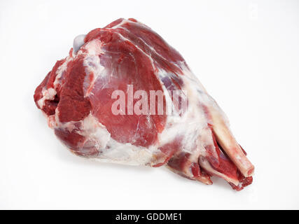 Leg of Lamb against White Background Stock Photo