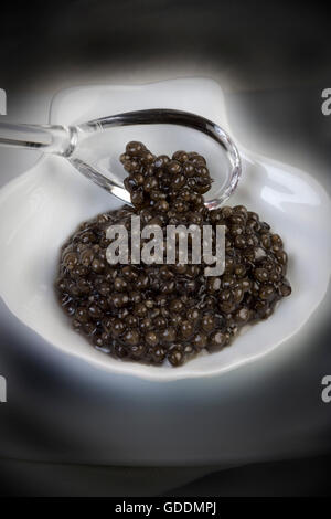 Caviar, Sturgeon's Eggs Stock Photo