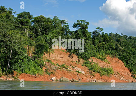 Tropical Forest and Madre de Dios River, Manu National Park in Peru Stock Photo