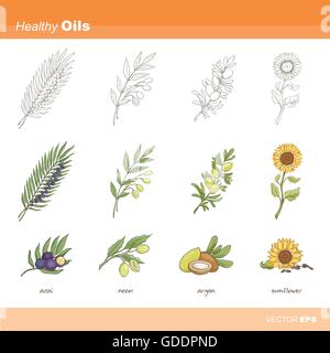 Healthy oils set: acai, neem, argan and sunflower Stock Vector