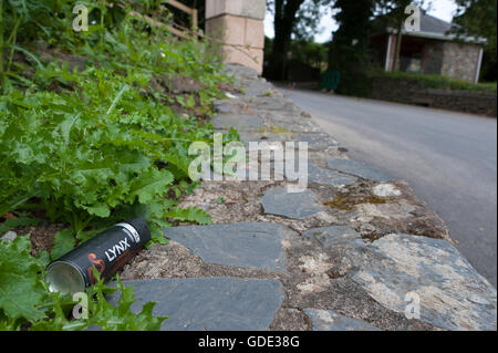 Sparkwell, Devon, UK. 16th July 2016. A discarded cannister of Lynx deodorant is seen at the entrance of the zoo. How it arrived there is not known. The dream wedding reception of Max Weeks and Charlie-Jane Swain, at Dartmoor Zoo in Sparkwell, Devon, UK. had been cancelled until a few days ago because of the recent escape of Flaviu a two-year-old male Carpathian Lynx. Concerns over safety at the zoo, and noise which might scare Flaviu, prompted the cancellation but it was decided at the 'eleventh hour' that the reception would go ahead today with increased security staff and noise levels kept  Stock Photo