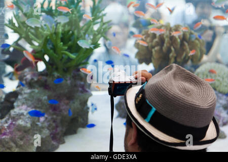 Tokyo, Japan. 16th July, 2016. A man takes pictures of tropical fish from Okinawa swimming inside a 14-tonne tank set up outside Sony Building in Ginza on July 16, 2016, Tokyo, Japan. The annual Sony Aquarium shows off 24 different species from Japan's southern islands in partnership Okinawa Churaumi Aquarium. This year Sony Building celebrates its 50th anniversary with some 500 fish from July 15 to August 28, 2016. Credit:  Rodrigo Reyes Marin/AFLO/Alamy Live News Stock Photo
