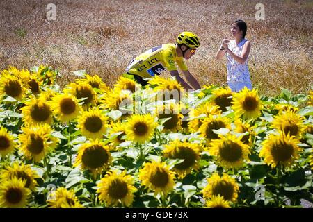 France. 16th July, 2016. Montelimar to Villars les Dombes Parc des Oiseaux, France. FROOME Christopher (GBR) of TEAM SKY with sunflowers during stage 14 of the 2016 Tour de France a 208, 5 km stage between Montelimar and Villars-Les-Dombes Parc des Oiseaux Credit:  Action Plus Sports Images/Alamy Live News Stock Photo