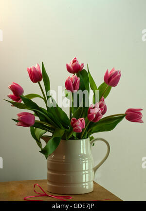 Tulips in white pitcher, pink, gift, Stock Photo