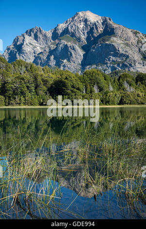 South America,Argentina,Patagonia,Rio Negro,Bariloche,Nahuel Huapi,National Park