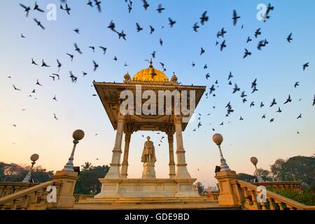 Morning with Pigeons. Pigeons flocking around Krishna Raja Wadiys statue at the gate side of Mysore palace, Stock Photo