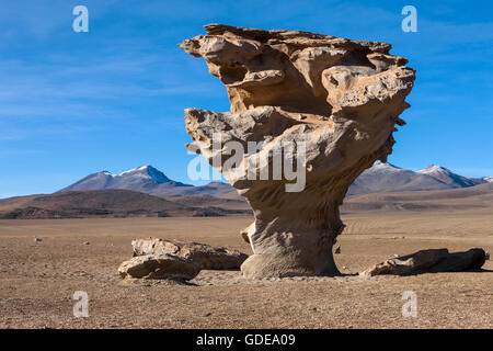 Arbol de Piedra,Bolivia,Altiplano Stock Photo