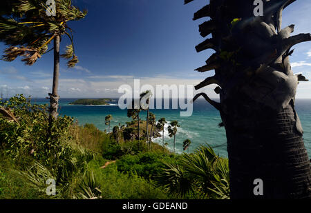the view Point of Laem Promthep near Rawai Beach in the south on the Phuket Island in the south of Thailand in Southeastasia. Stock Photo