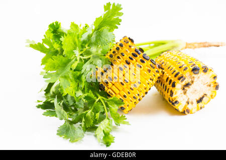 Grilled corn with coriander isolated on white background.Food hi-fiber and hi-vitamin. Stock Photo