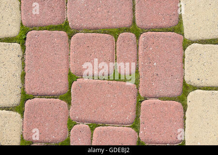 Sidewalk pavers around sprouted moss Stock Photo