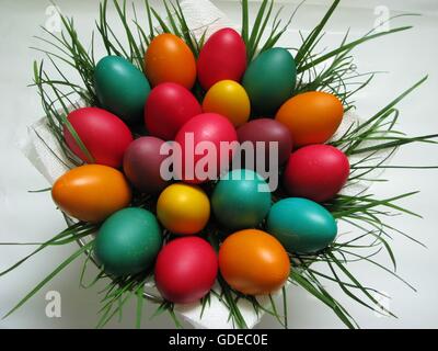 Colored easter eggs in a basket with fresh green grass Stock Photo
