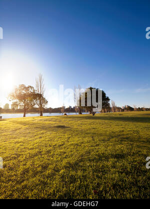 Summer morning in Albert Parke Lake Melbourne, Australia. Stock Photo