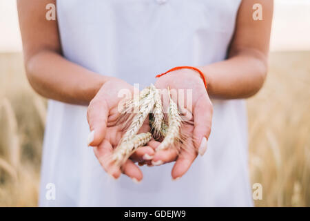 Woman holding ears of wheat in her hands Stock Photo