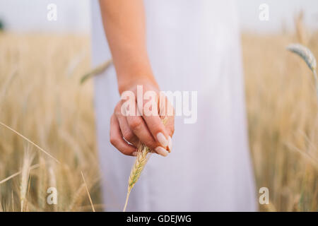 Woman standing in wheat field touching ear of wheat Stock Photo