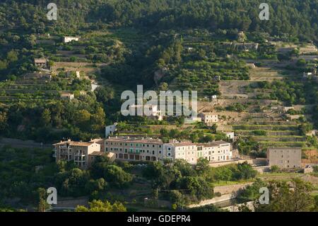 Terraces near Banyalbufar, Mallorca, Majorca, Balearic Islands, Spain Stock Photo