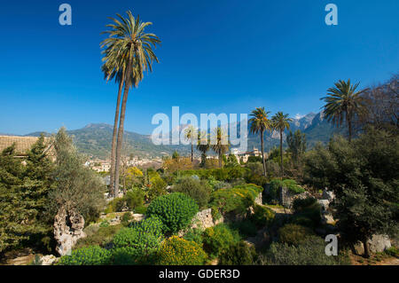 Botanical Garden of Soller, Serra de Tramuntana, Majorca, Balearic Islands, Spain Stock Photo