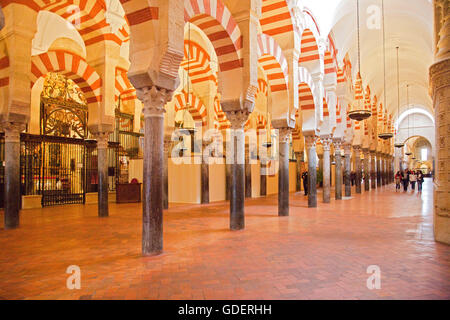 Columned hall, Mezquita cathedral, formerly Mezquita mosque, Cordoba, Andalusia, Spain / La Mezquita Stock Photo