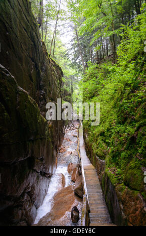 Franconia Notch State Park Stock Photo