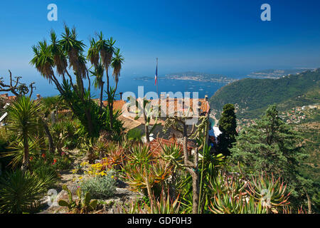 Jardin Exotique in Eze, Cote d?Azur, Alpes-Maritimes, Provence-Alpes-Cote d'Azur, France Stock Photo