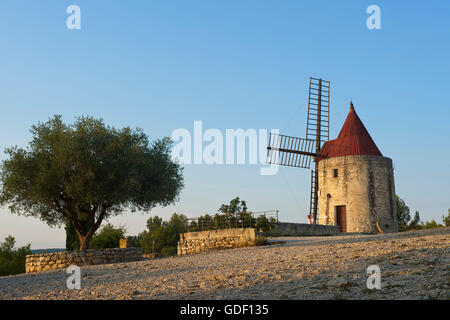 Windmill Alphonse Daudet near Fontvieille, Provence Alpes Cote d'Azur, France Stock Photo