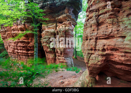 Natural monument, Altschlossfelsen, Eppenbrunn, Rhineland-Palatinate, Germany Stock Photo