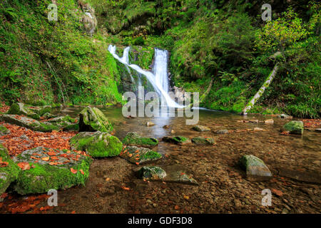 Nationalpark Blackforest, Allerheiligen waterfalls, Germany Stock Photo