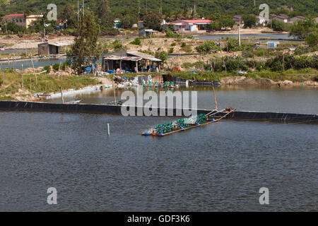 Artificial small lake, system for shrimp farming, Vinh Hy, South China Sea, Vietnam Stock Photo