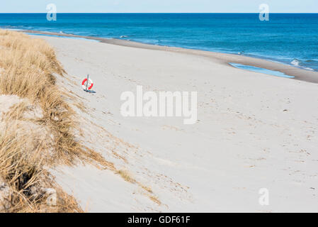 Lovely sandy beach with dry grass and a life buoy. Small waves hit the shoreline. Horizon over water and copy space on sand. Stock Photo