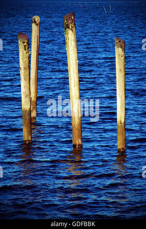 Four pier posts in bay Stock Photo