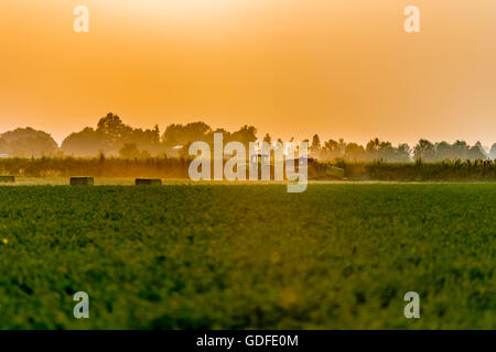 sunset on a packing machine which realizes hay bales in a cloud of dust Stock Photo