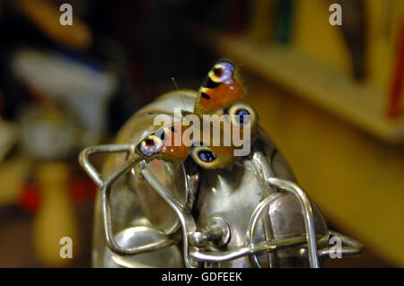 Butterfly sits on part of a musical instrument in a repair shop. Stock Photo