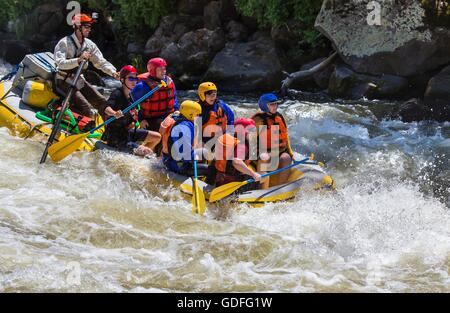 Whitewater rafting in the Upper Klamath River at Hells Corner in the Klamath Wild and Scenic River Area, Oregon. The rapids running through a remote area are rated at class III, IV and V, depending on water levels. Stock Photo