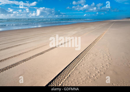 Skid marks on Seventy Five Mile Beach at famous Fraser Island. Stock Photo