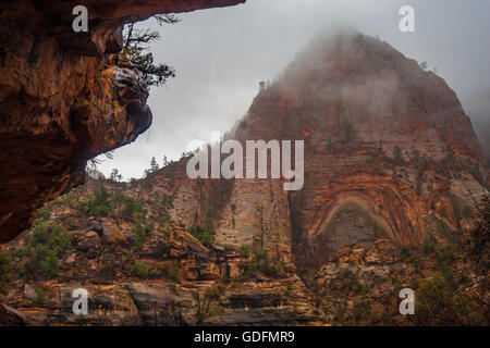 Zion National Park after a hard rainstorm with clouds hanging low Stock Photo